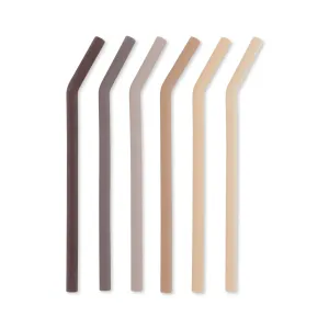 6-Pack Straws in Lilac Mix