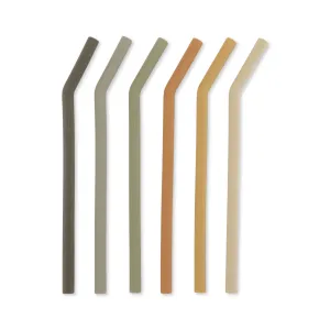 6-Pack Straws in Stone Mix