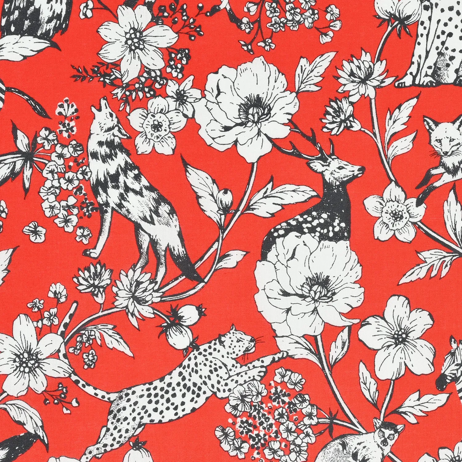 echino Wonder Cotton Lawn EKX-98010-12